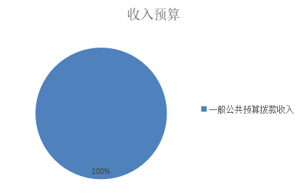 收入预算.png