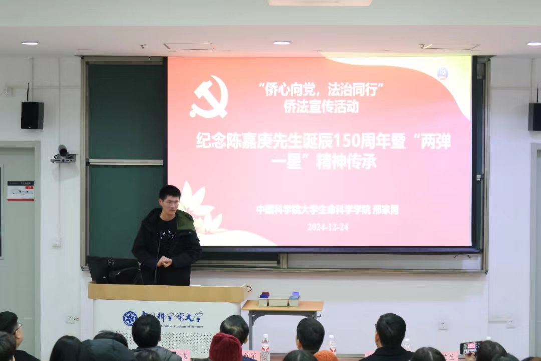 1735729971047.jpg 252831305.jpg